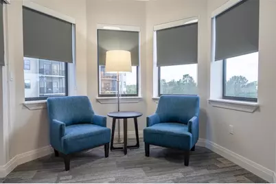 14501 Grove Resort Avenue #2436, Winter Garden, FL 34787 - Photo 22
