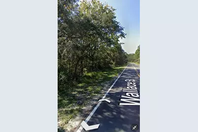 161 Wallace Street, Interlachen, FL 32148 - Photo 6