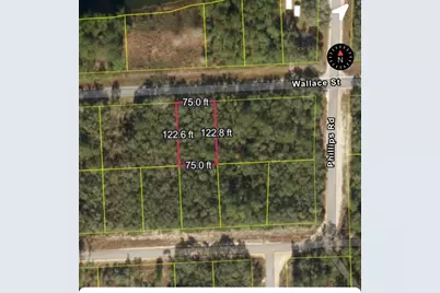161 Wallace Street, Interlachen, FL 32148 - Photo 8