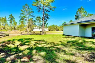 10984 N G Martinelli Blvd, Citrus Springs, FL 34433 - Photo 18