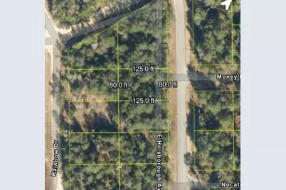 905 E Hillsborough Avenue, Florahome, FL 32140 - Photo 10