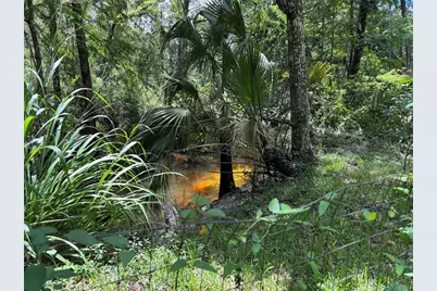 4249 SW 129th Boulevard, Webster, FL 33597 - Photo 12