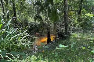 4249 SW 129th Blvd, Webster, FL 33597 - Photo 12