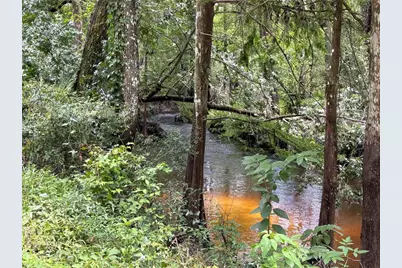 4253 SW 129th Boulevard, Webster, FL 33597 - Photo 16