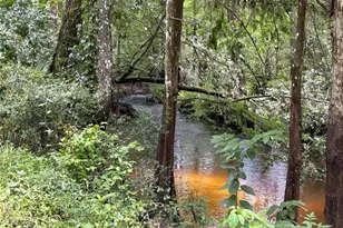 4253 SW 129th Blvd, Webster, FL 33597 - Photo 16