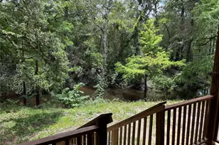 4253 SW 129th Blvd, Webster, FL 33597 - Photo 14