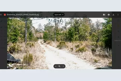 0 NE 61st Lane, Williston, FL 32696 - Photo 1