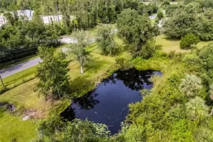 1200 Lake Harney Rd, Geneva, FL 32732 - Photo 6