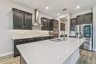 31896 Magna Gulf Loop, San Antonio, FL 33576 - Photo 34