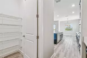 31896 Magna Gulf Loop, San Antonio, FL 33576 - Photo 42