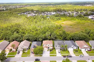 13425 Early Frost Cir, Orlando, FL 32828 - Photo 40