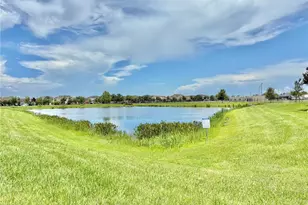 14291 Swanley St, Orlando, FL 32832 - Photo 46