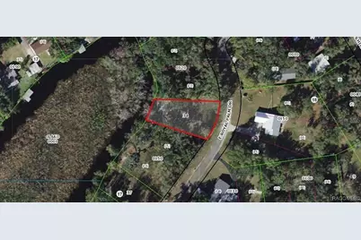 9117 E Royal Palm Drive, Inverness, FL 34450 - Photo 8