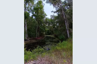 9117 E Royal Palm Drive, Inverness, FL 34450 - Photo 4