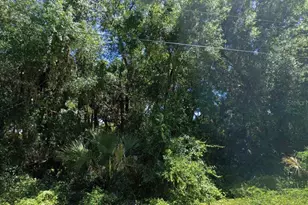 Dufferin Ave, North Port, FL 34286 - Photo 1