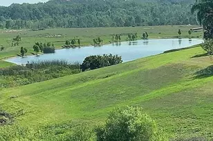 3922 Sunset Lake Dr, Lakeland, FL 33810 - Photo 40