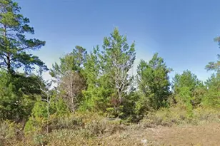 Dumajack Rd, Chipley, FL 32428 - Photo 1