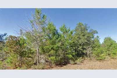 Dumajack Road, Chipley, FL 32428 - Photo 1