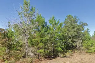 Dumajack Rd, Chipley, FL 32428 - Photo 1