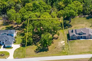 7041 Norne Ln, Mount Dora, FL 32757 - Photo 1