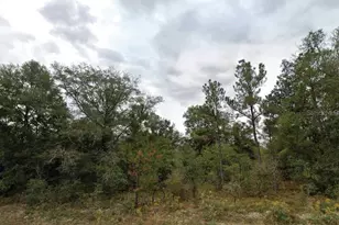 Matheson St, Chipley, FL 32428 - Photo 1