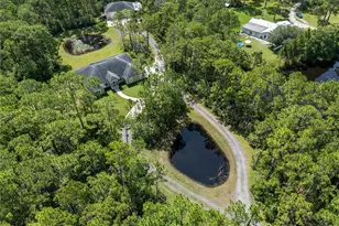 859 Leather Fern Ln, Mims, FL 32754 - Photo 56