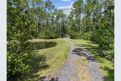 859 Leather Fern Lane, Mims, FL 32754 - Photo 46