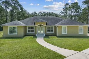 859 Leather Fern Ln, Mims, FL 32754 - Photo 48