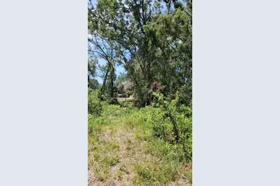 7624 Anno Street, Tampa, FL 33625 - Photo 2