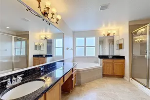 229 Largovista Dr, Oakland, FL 34787 - Photo 68