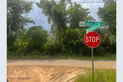 Eagles Nest Road, Fruitland Park, FL 34731 - Photo 8