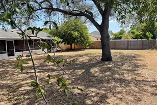 7036 Cardinalwood St, Orlando, FL 32818 - Photo 2