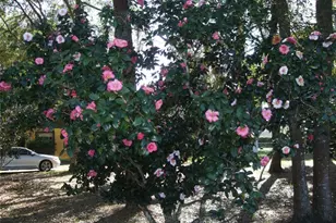 1715 W Lake Mary Blvd, Lake Mary, FL 32746 - Photo 44