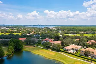 11209 Macaw Ct, Windermere, FL 34786 - Photo 52