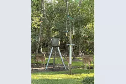 2401 Wassum Trail, Chuluota, FL 32766 - Photo 36