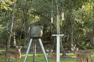 2401 Wassum Trail, Chuluota, FL 32766 - Photo 36