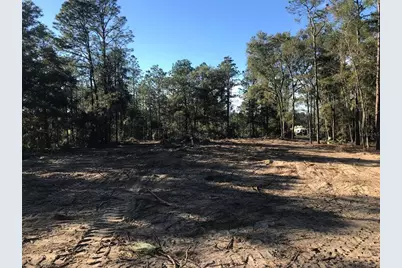 12864 SW 41st Place, Ocala, FL 34481 - Photo 22