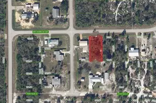 1017 Breckinridge Ave, Lake Placid, FL 33852 - Photo 4