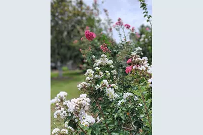 9680 SE 164th Place, Summerfield, FL 34491 - Photo 36