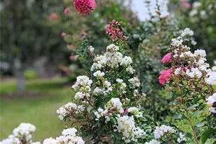 9680 SE 164th Pl, Summerfield, FL 34491 - Photo 36