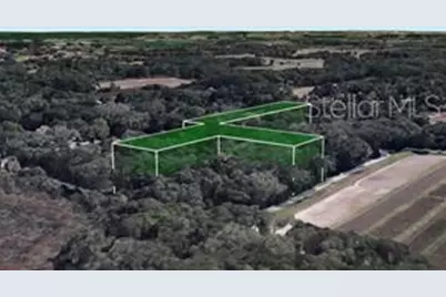 8641 High Street, Yalaha, FL 34797 - Photo 4