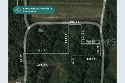 8641 High Street, Yalaha, FL 34797 - Photo 2