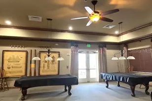 8348 Bridgeport Bay Cir, Mount Dora, FL 32757 - Photo 40