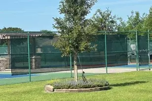 8348 Bridgeport Bay Cir, Mount Dora, FL 32757 - Photo 52