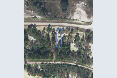 731 County Road 29, Lake Placid, FL 33852 - Photo 4