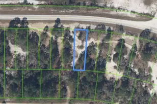 731 County Rd 29, Lake Placid, FL 33852 - Photo 4