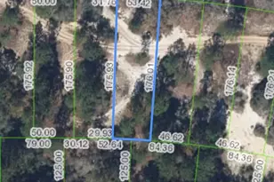 731 County Rd 29, Lake Placid, FL 33852 - Photo 1