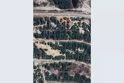 731 County Road 29, Lake Placid, FL 33852 - Photo 6