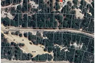 731 County Rd 29, Lake Placid, FL 33852 - Photo 6