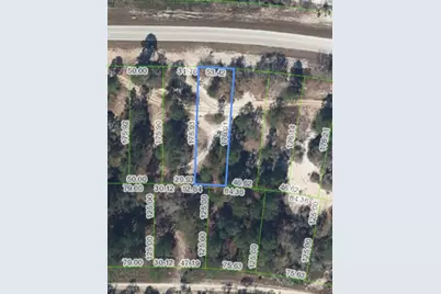 731 County Road 29, Lake Placid, FL 33852 - Photo 2